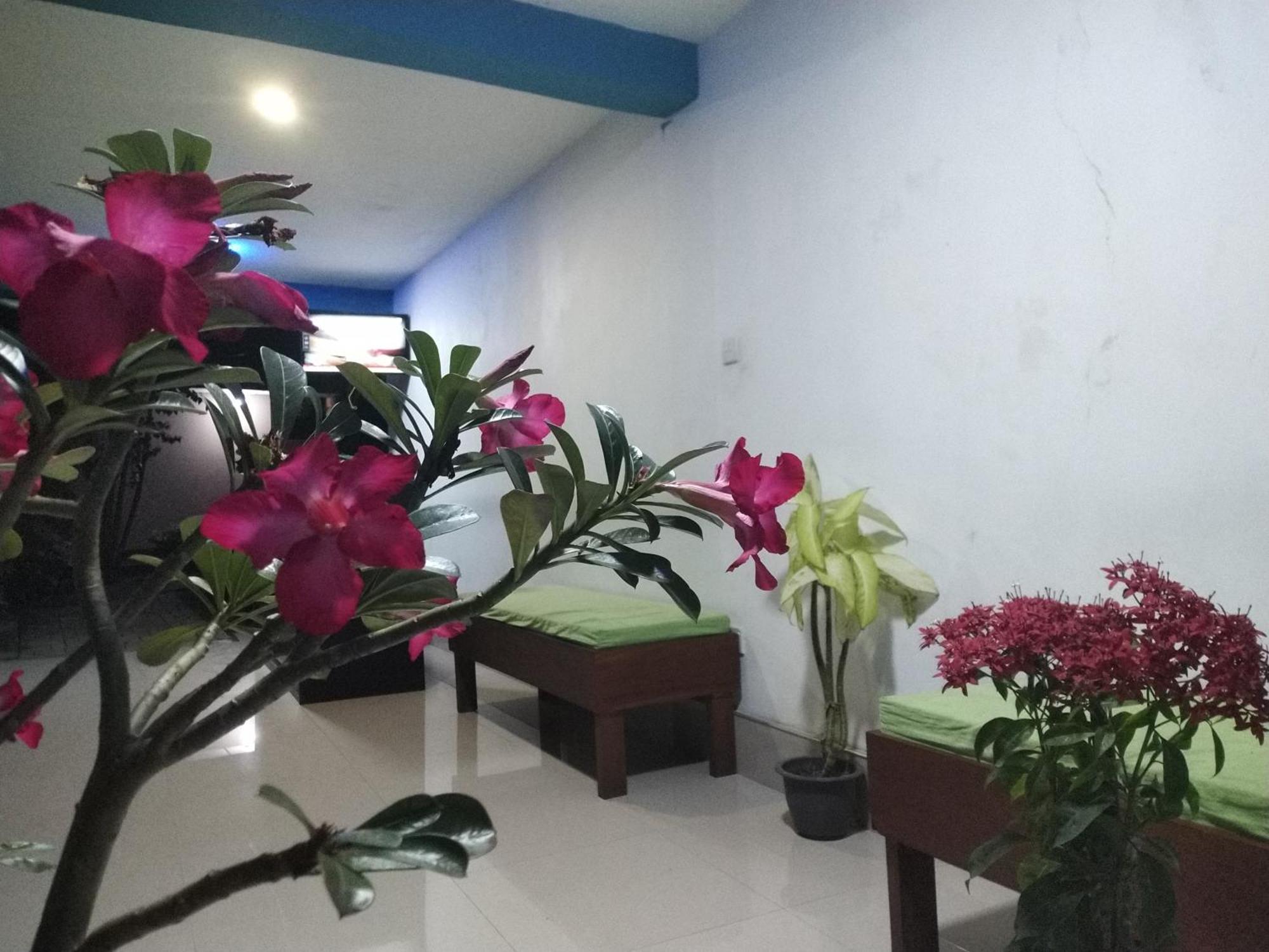 Blue Bell Hotel Negombo Dış mekan fotoğraf