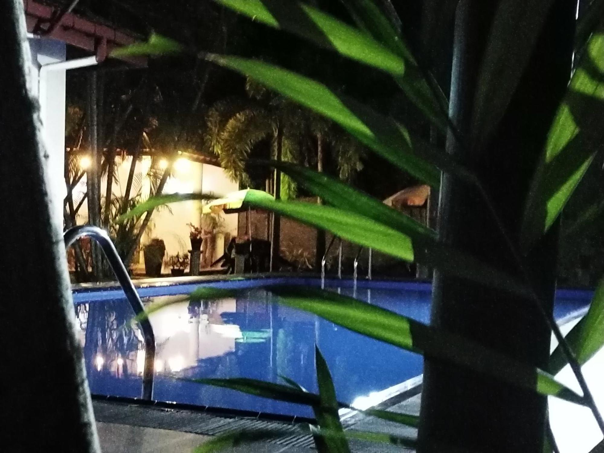 Blue Bell Hotel Negombo Dış mekan fotoğraf