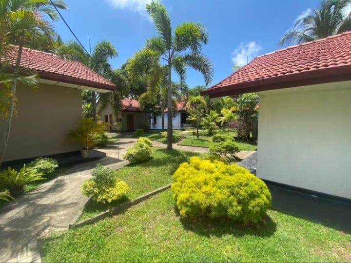 Blue Bell Hotel Negombo Dış mekan fotoğraf